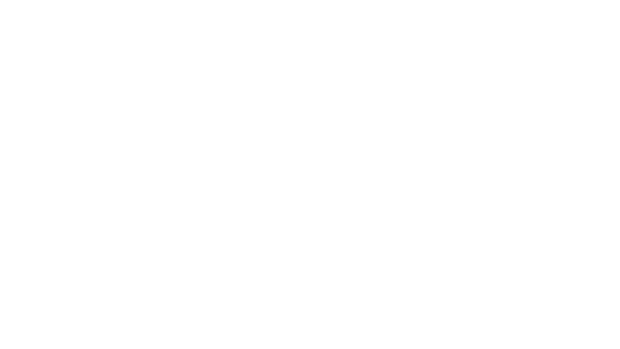 Bolsas Merida